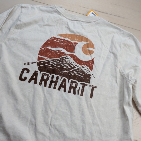 Carhartt Other - NEW Carhartt Relaxed Fit Heavyweight Long Sleeve T-Shirt Mens M Mountain Graphic